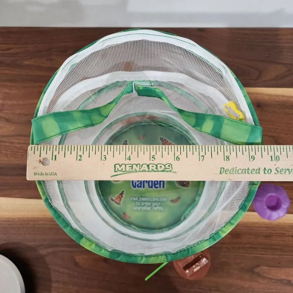 Insect Lore Butterfly Garden Growing Kit Collapsable Mesh Terrarium Kids Science